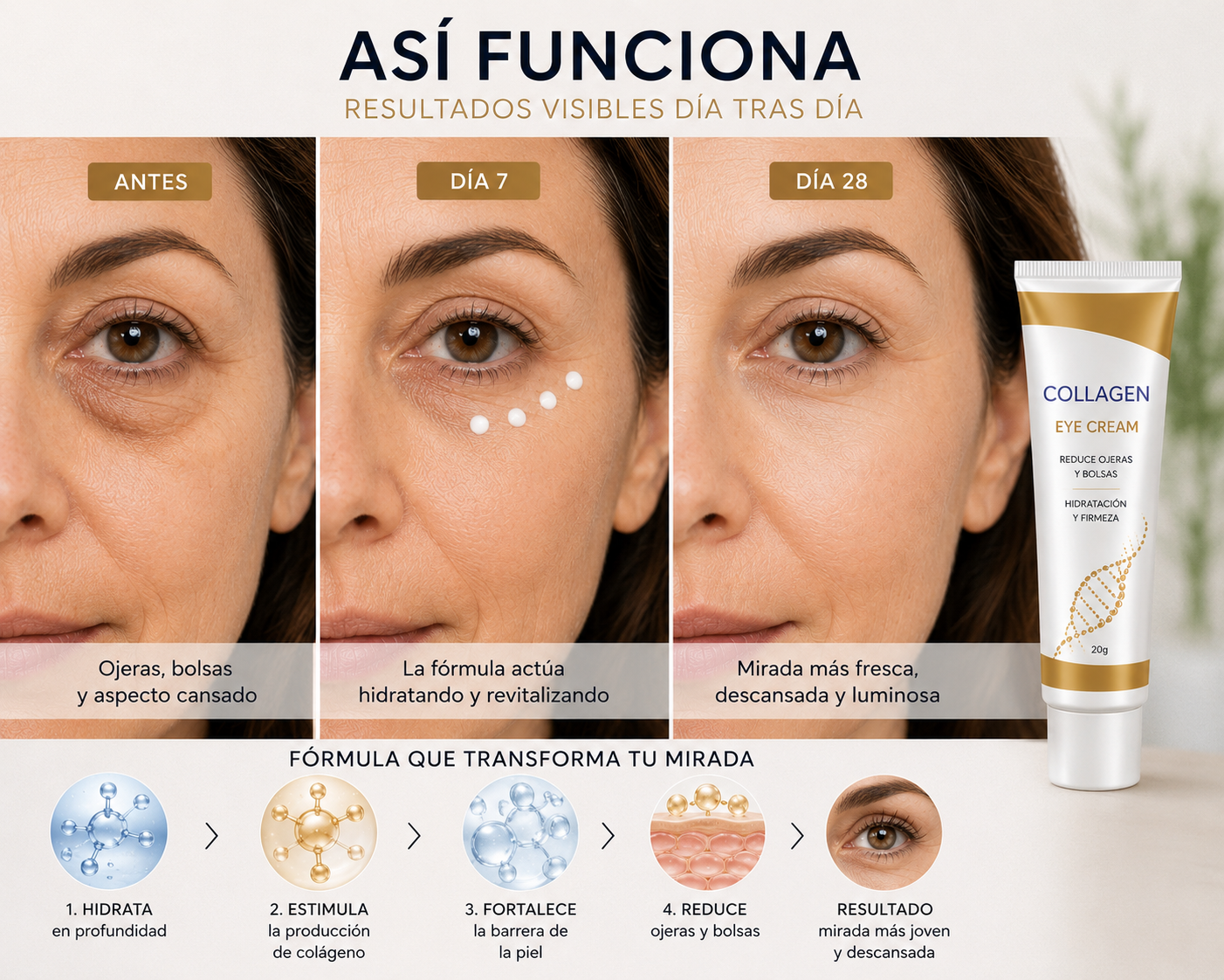Lavin Anti-Aging Eye Cream